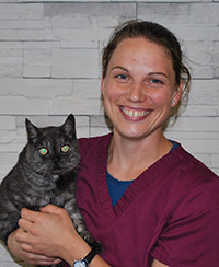 jacinthe lambert veterinaire petits animaux